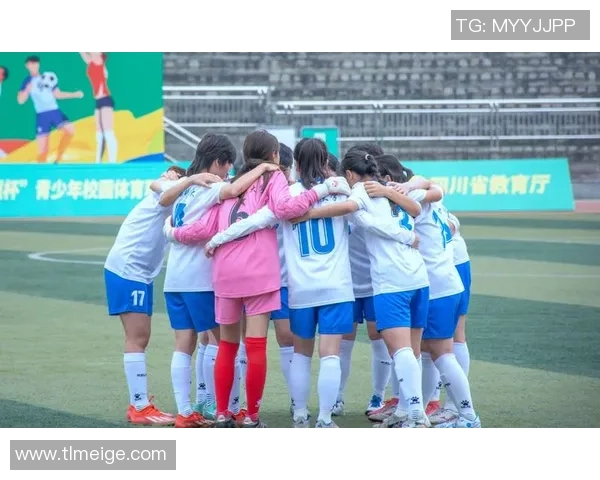 四川籍女足球员数量与代表性球员分析