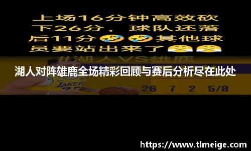 湖人对阵雄鹿全场精彩回顾与赛后分析尽在此处