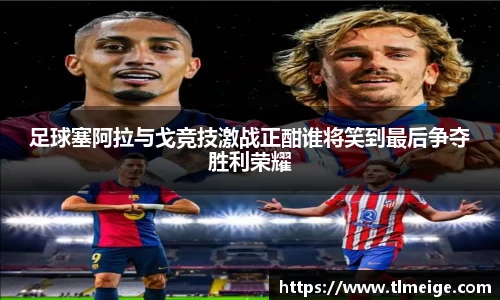 足球塞阿拉与戈竞技激战正酣谁将笑到最后争夺胜利荣耀