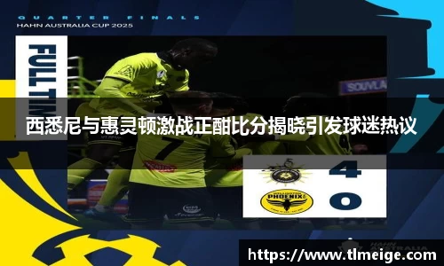 西悉尼与惠灵顿激战正酣比分揭晓引发球迷热议